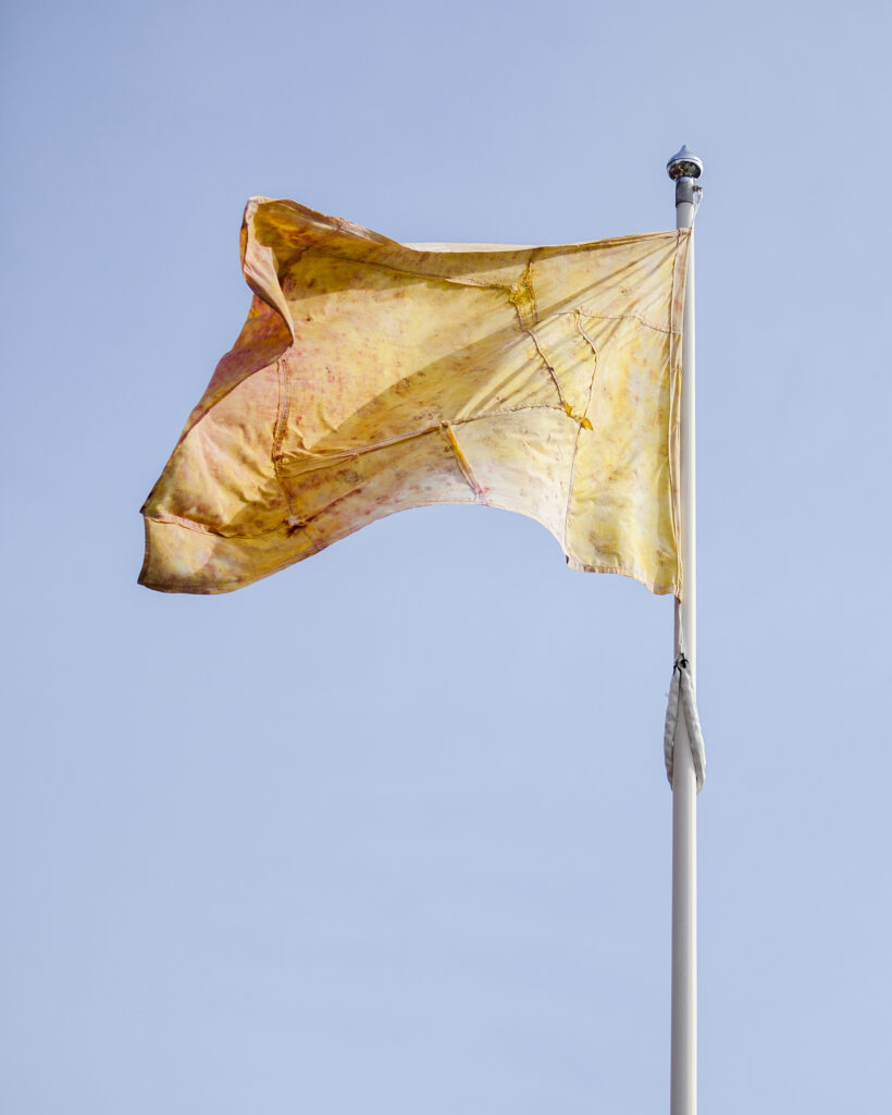 A flag artwork flying