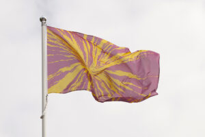 A pink and yellow flag in a window